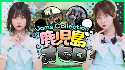 uJams Collection̎IZṽy[W