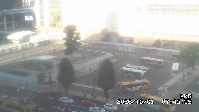 �����������w���J����