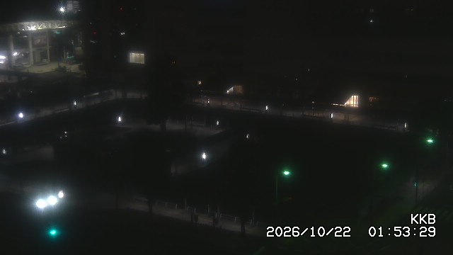 �����������w���J����