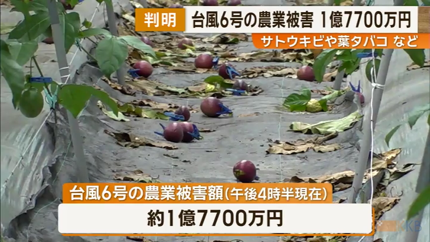 KKB NEWS