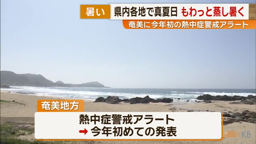 KKB NEWS