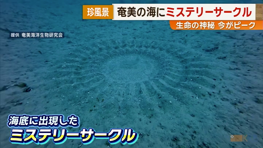 KKB NEWS