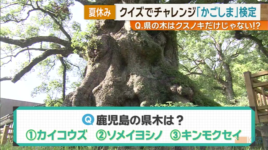 KKB NEWS