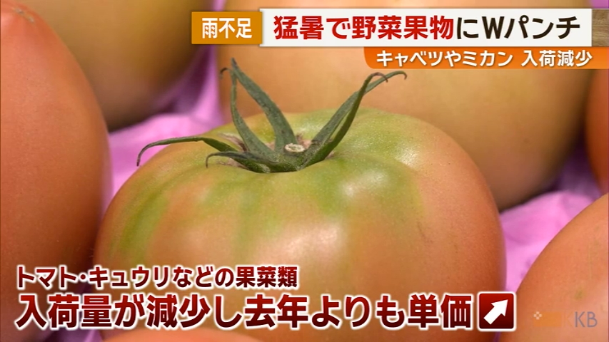 KKB NEWS