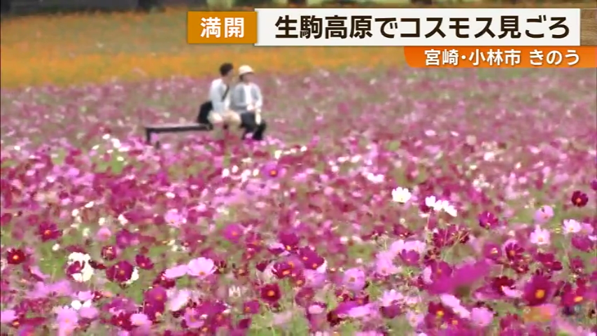 KKB NEWS