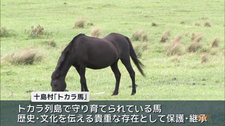 KKB NEWS