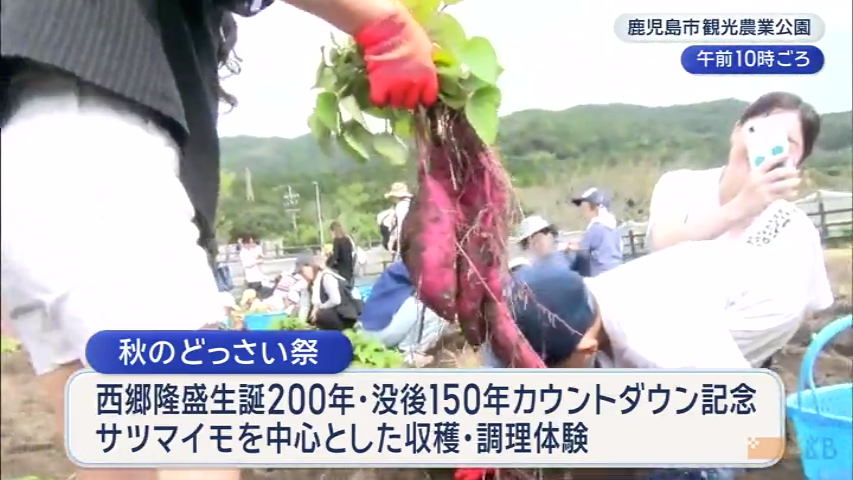 KKB NEWS