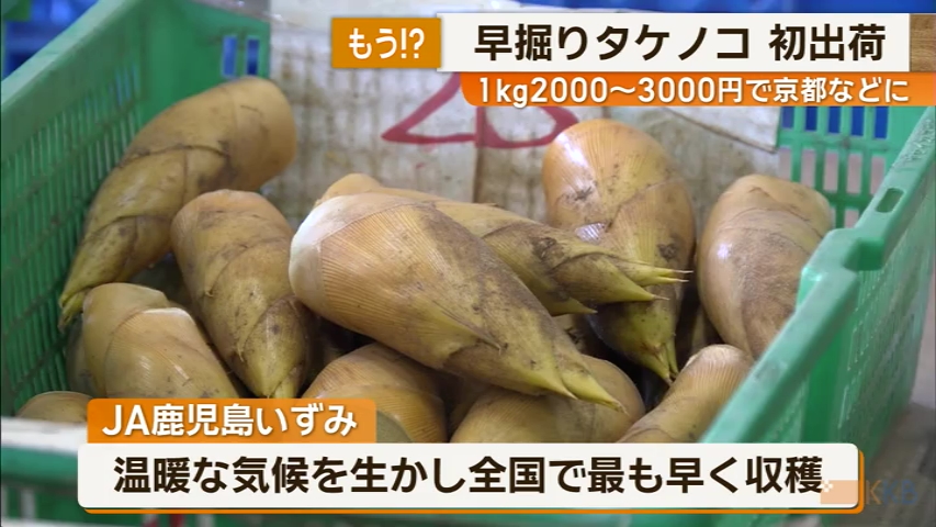 KKB NEWS