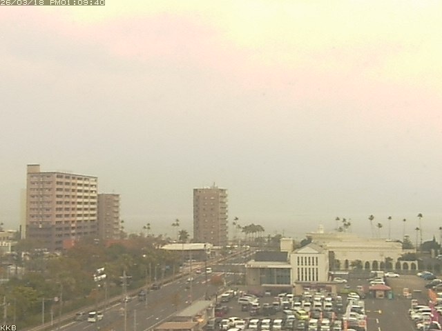 桜島情報カメラ